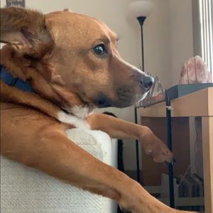 Meet your Posher, Johnny